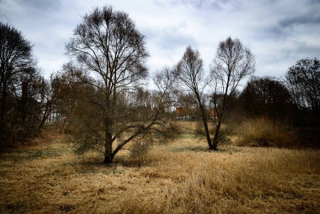 Mein Biesdorf - 36 - Thomas_Bechtle_Fotograf