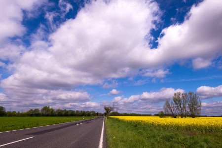 Wege übers Land - 1 - Thomas_Bechtle_Fotograf