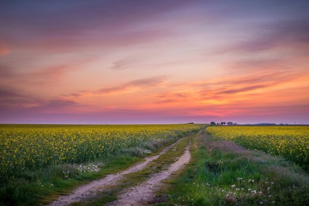 Wege übers Land - 3 - Thomas_Bechtle_Fotograf