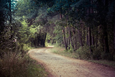 Wege übers Land - 20 - Thomas_Bechtle_Fotograf