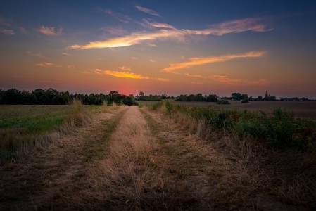 Wege übers Land - 26 - Thomas_Bechtle_Fotograf