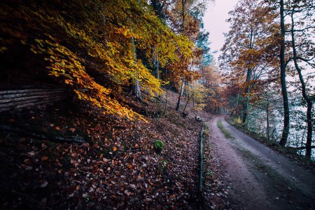 Wege übers Land - 29 - Thomas_Bechtle_Fotograf