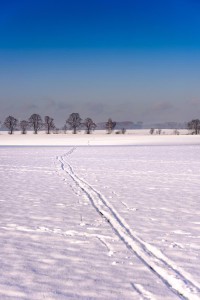 Wege übers Land - 36 - Thomas_Bechtle_Fotograf