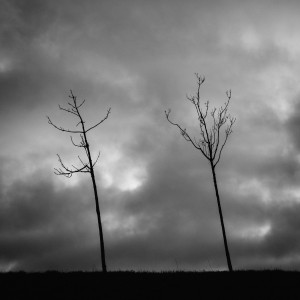 Zusammen stark-Thomas_Bechtle_Fotograf