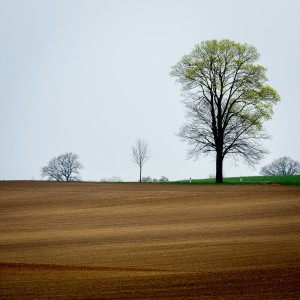 Frühlingslandschaft Thomas Bechtle Fotograf