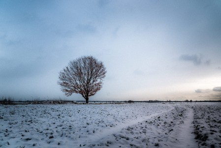 Winterlandschaft-2-Thomas_Bechtle_Fotograf