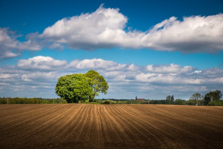 Landschaft-Sommer-2-Thomas_Bechtle_Fotograf