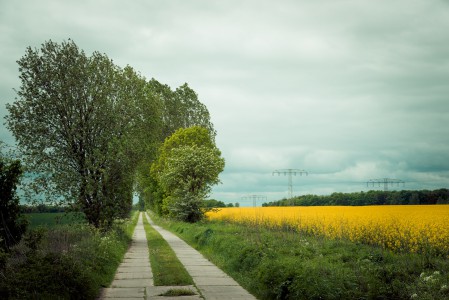 Landschaft-Sommer-3-Thomas_Bechtle_Fotograf
