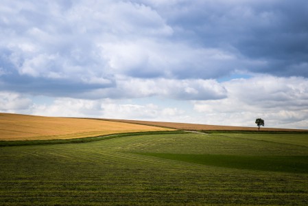 Landschaft-Sommer-4-Thomas_Bechtle_Fotograf