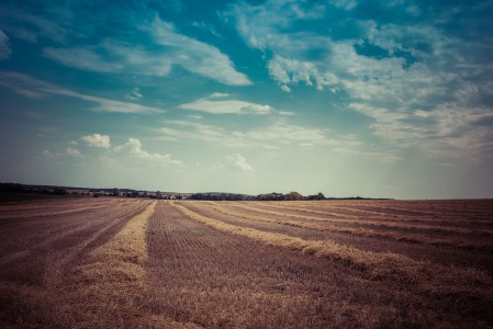 Landschaft-Sommer-6-Thomas_Bechtle_Fotograf