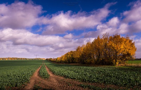 Landschaft-Herbst-1-Thomas_Bechtle_Fotograf