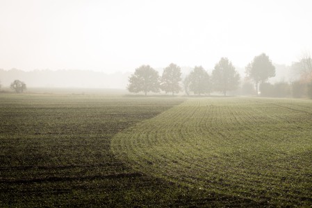 Landschaft-Herbst-3-Thomas_Bechtle_Fotograf