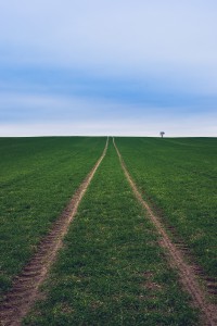 Spuren-Feld-Thomas_Bechtle_Fotograf