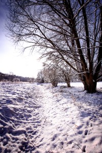 Winterlandschaft-2-Thomas_Bechtle_Fotograf