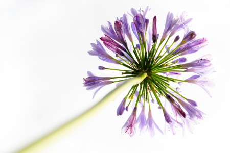 Natürliches-Thomas-Bechtle-Fotografie-001