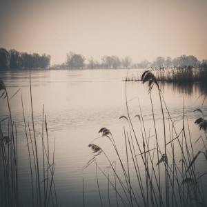 natürliches - 2 - Thomas_Bechtle_Fotograf