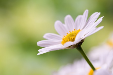 natürliches - 3 - Thomas_Bechtle_Fotograf