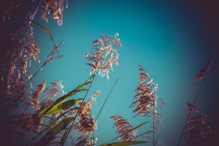 natürliches - 7 - Thomas_Bechtle_Fotograf