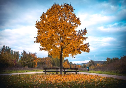 natürliches - 8 - Thomas_Bechtle_Fotograf