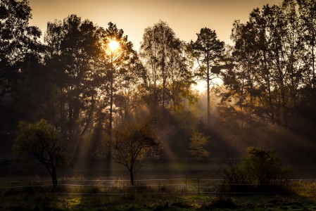 natürliches - 9 - Thomas_Bechtle_Fotograf