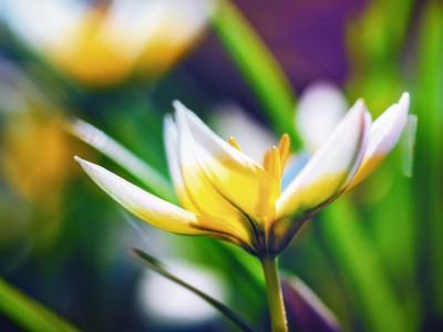 natürliches - 19 - Thomas_Bechtle_Fotograf