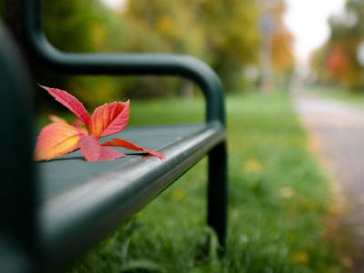 natürliches - 21 - Thomas_Bechtle_Fotograf