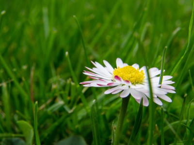 natürliches - 22 - Thomas_Bechtle_Fotograf