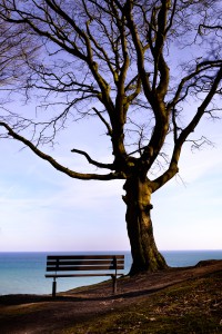 Ostsee-Rügen-4-Thomas_Bechtle_Fotograf