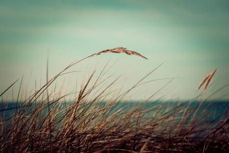 Ostsee-Poel-1-Thomas_Bechtle_Fotograf