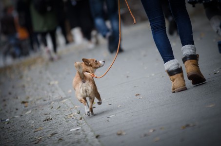 Street - Berlin - 1 - Thomas_Bechtle_Fotograf